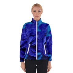 Beauty Bloom Blue 67636 Winter Jacket