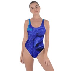 Beauty Bloom Blue 67636 Bring Sexy Back Swimsuit