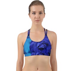 Beauty Bloom Blue 67636 Back Web Sports Bra