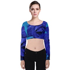 Beauty Bloom Blue 67636 Velvet Long Sleeve Crop Top