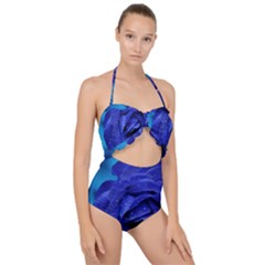 Beauty Bloom Blue 67636 Scallop Top Cut Out Swimsuit