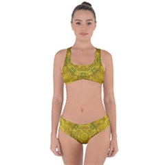 Sunshine Feathers And Fauna Ornate Criss Cross Bikini Set by pepitasart