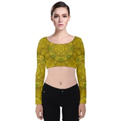 Sunshine Feathers And Fauna Ornate Velvet Long Sleeve Crop Top