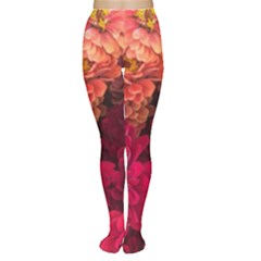 Peach And Pink Zinnias Tights