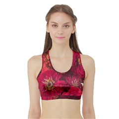 Peach And Pink Zinnias Sports Bra With Border by bloomingvinedesign