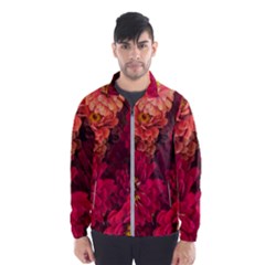 Peach And Pink Zinnias Windbreaker (men)