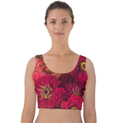 Peach And Pink Zinnias Velvet Crop Top