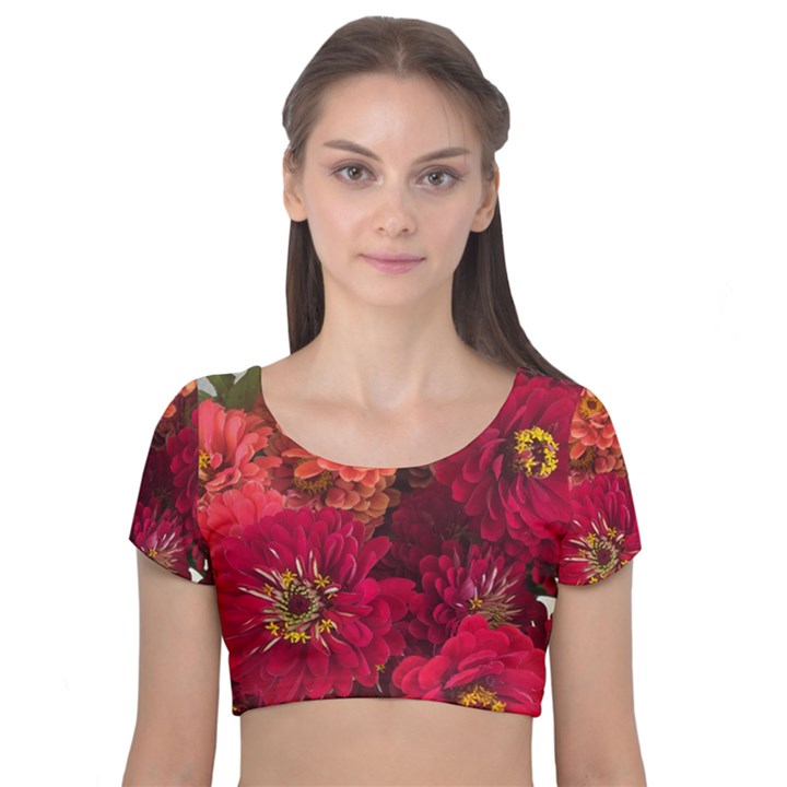 Peach and Pink Zinnias Velvet Short Sleeve Crop Top 