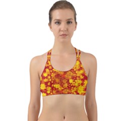 Christmas Star Advent Background Back Web Sports Bra by Sapixe