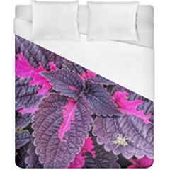 Beefsteak Plant Perilla Frutescens Duvet Cover (california King Size) by Sapixe