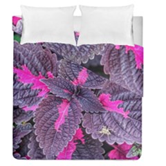 Beefsteak Plant Perilla Frutescens Duvet Cover Double Side (queen Size) by Sapixe