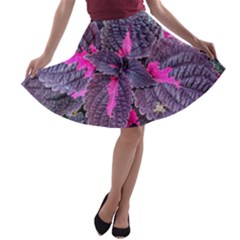 Beefsteak Plant Perilla Frutescens A-line Skater Skirt