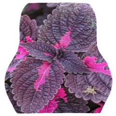 Beefsteak Plant Perilla Frutescens Car Seat Back Cushion 