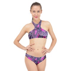 Beefsteak Plant Perilla Frutescens High Neck Bikini Set