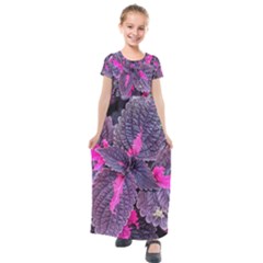 Beefsteak Plant Perilla Frutescens Kids  Short Sleeve Maxi Dress