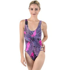 Beefsteak Plant Perilla Frutescens High Leg Strappy Swimsuit