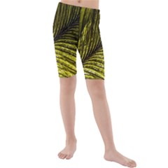 Feather Macro Bird Plumage Nature Kids  Mid Length Swim Shorts by Sapixe