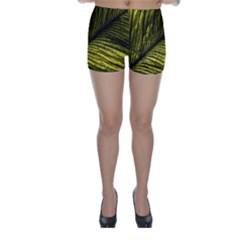 Feather Macro Bird Plumage Nature Skinny Shorts by Sapixe