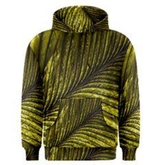 Feather Macro Bird Plumage Nature Men s Pullover Hoodie by Sapixe