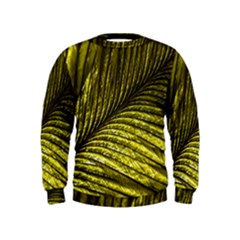 Feather Macro Bird Plumage Nature Kids  Sweatshirt