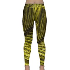 Feather Macro Bird Plumage Nature Classic Yoga Leggings by Sapixe