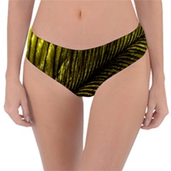 Feather Macro Bird Plumage Nature Reversible Classic Bikini Bottoms by Sapixe