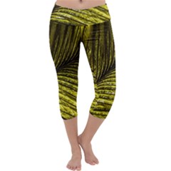 Feather Macro Bird Plumage Nature Capri Yoga Leggings by Sapixe