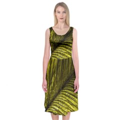 Feather Macro Bird Plumage Nature Midi Sleeveless Dress by Sapixe