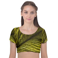 Feather Macro Bird Plumage Nature Velvet Short Sleeve Crop Top 