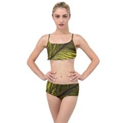 Feather Macro Bird Plumage Nature Layered Top Bikini Set