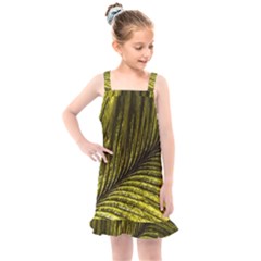 Feather Macro Bird Plumage Nature Kids  Overall Dress