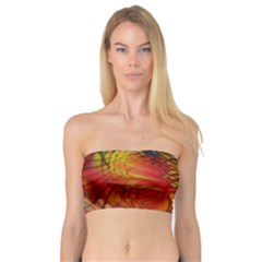 Texture Art Color Pattern Bandeau Top by Sapixe