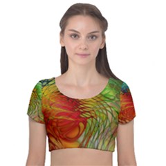 Texture Art Color Pattern Velvet Short Sleeve Crop Top 