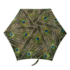 Peacock Feathers Color Plumage Green Mini Folding Umbrellas by Sapixe