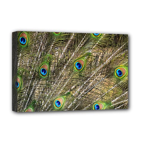 Peacock Feathers Color Plumage Green Deluxe Canvas 18  X 12  (stretched) by Sapixe