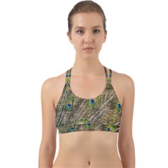 Peacock Feathers Color Plumage Green Back Web Sports Bra