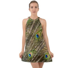 Peacock Feathers Color Plumage Green Halter Tie Back Chiffon Dress