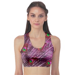 Peacock Feathers Color Plumage Sports Bra by Sapixe