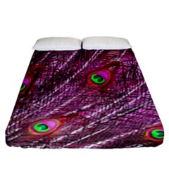 Peacock Feathers Color Plumage Fitted Sheet (california King Size) by Sapixe