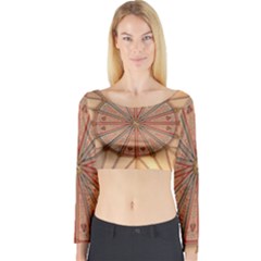 York Minster Chapter House Long Sleeve Crop Top by Sapixe