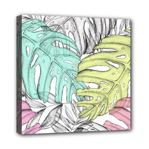 Leaves Tropical Nature Plant Mini Canvas 8  X 8  (stretched) by Sapixe