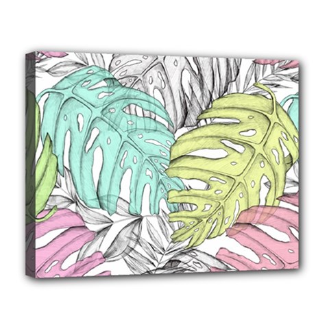 Leaves Tropical Nature Plant Canvas 14  X 11  (stretched)