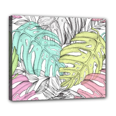 Leaves Tropical Nature Plant Deluxe Canvas 24  X 20  (stretched)