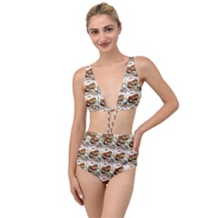 Venice Tied Up Two Piece Swimsuit