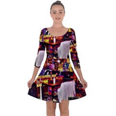 Painted House Quarter Sleeve Skater Dress