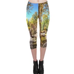 Landscape # 2 The Path Capri Leggings  by ArtworkByPatrick