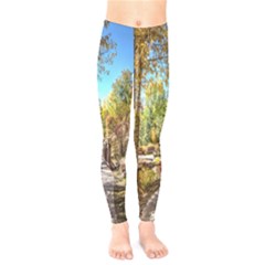 Landscape # 2 The Path Kids  Legging by ArtworkByPatrick