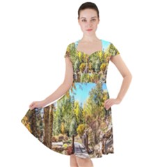 Landscape # 2 The Path Cap Sleeve Midi Dress