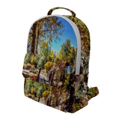 Landscape # 2 The Path Flap Pocket Backpack (large)