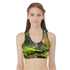 Landscape # 3 The Shed Sports Bra With Border by ArtworkByPatrick